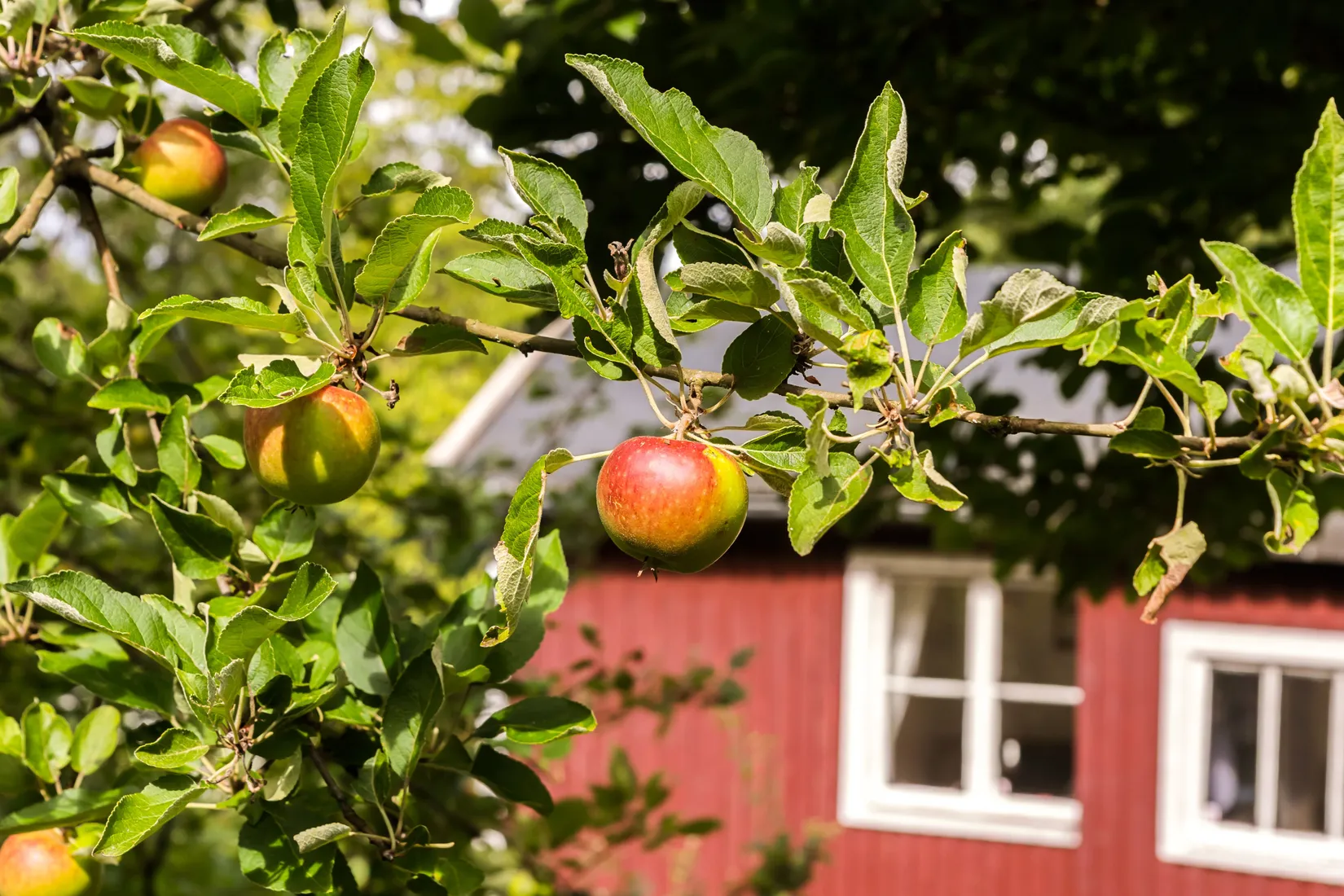 Fritidshus, Källsprångsstigen, lott 7, Göteborg