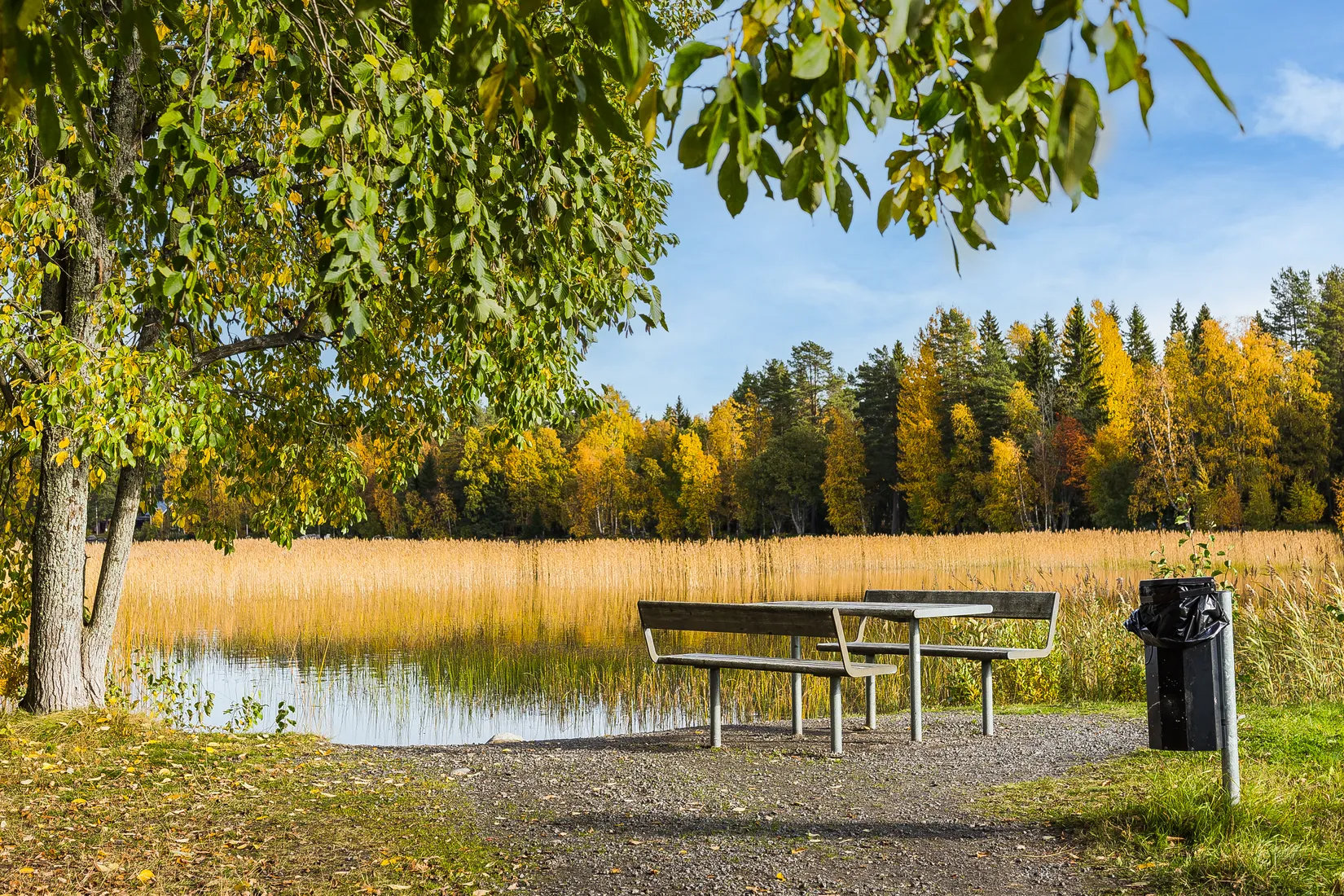 Bostadsrätt, Mariehemsvägen 31 E LGH 1103, Mariehem, Umeå