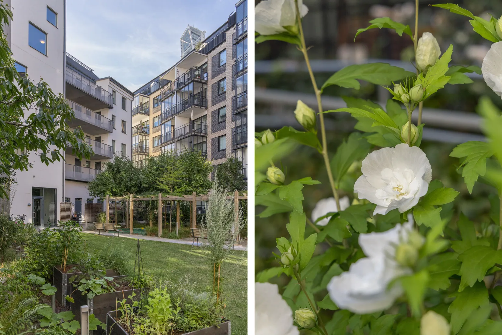 Bostadsrätt, Mastgränd 7A, Västra Hamnen, Malmö