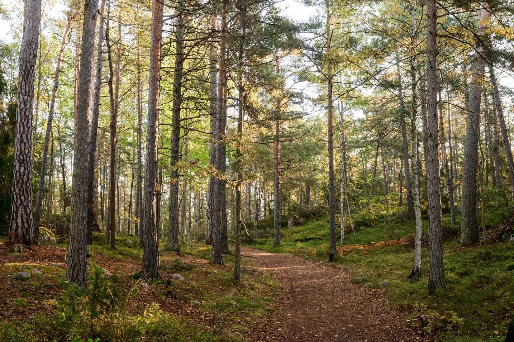 Bostadsrätt, Landåvägen 71, Jarlaberg, Nacka