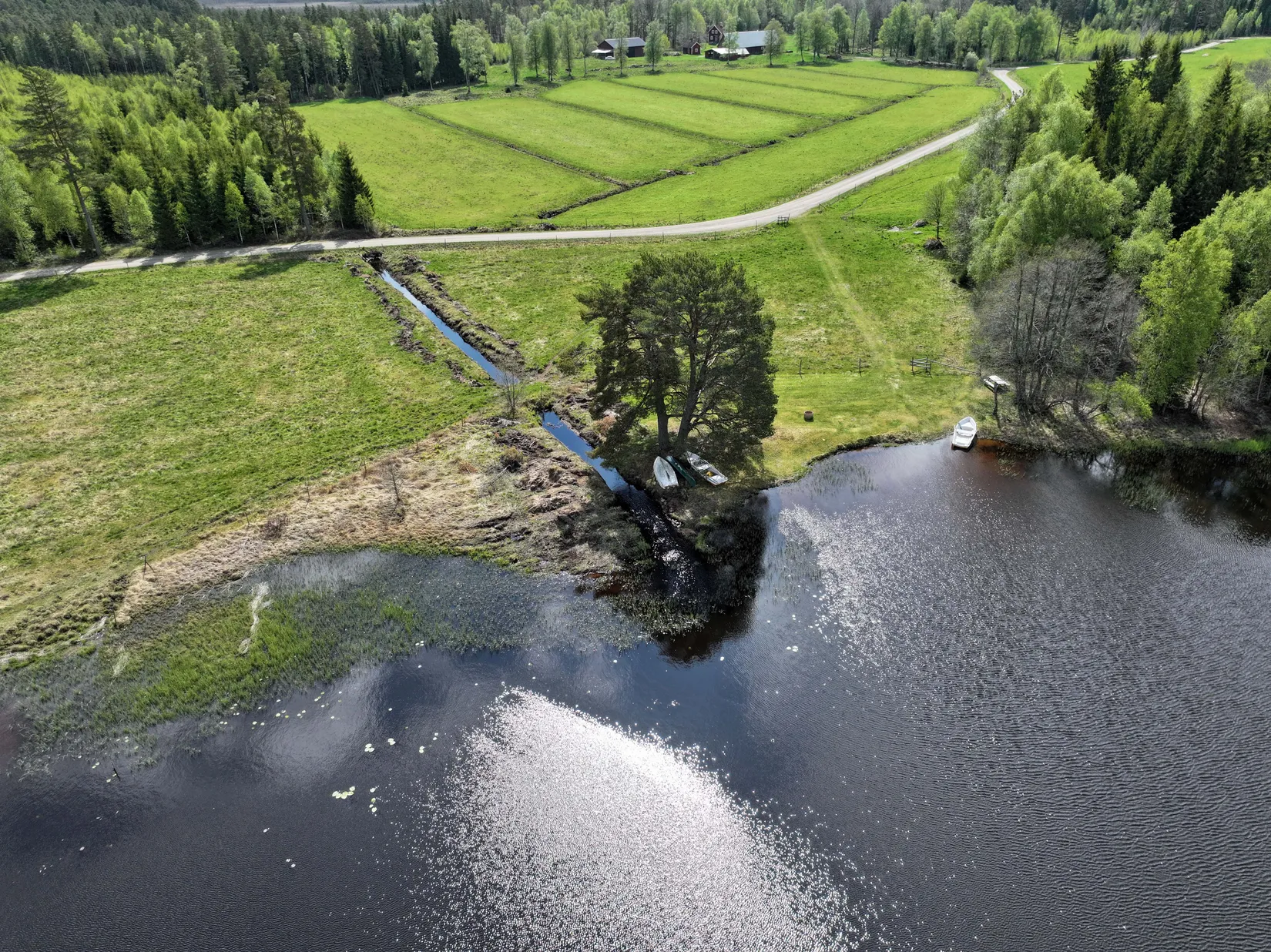 Gård/Skog, Sunnerby Sävjedal 1, Sävsjö