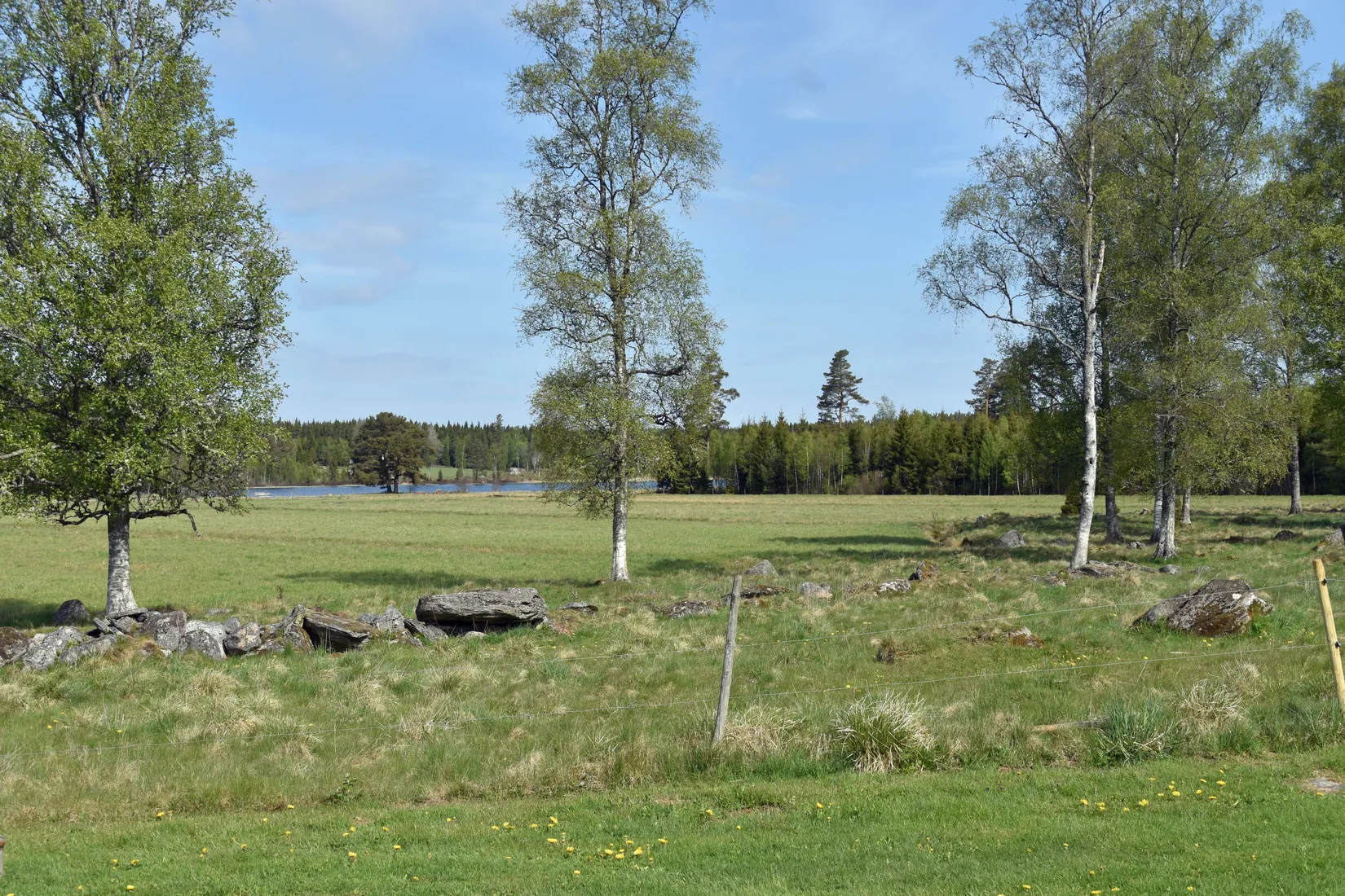 Gård/Skog, Sunnerby Sävjedal 1, Sävsjö