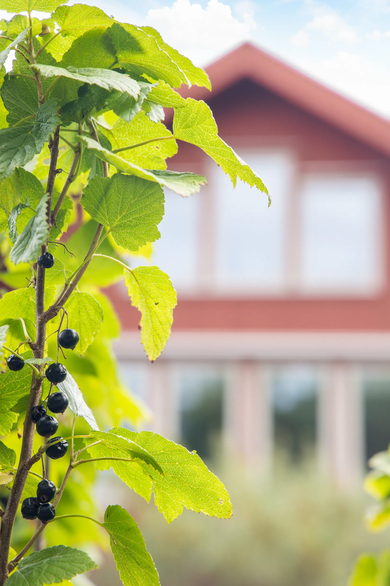 Villa, Sjöhåla strandväg 51, Kungälv - Kärna, Kungälv