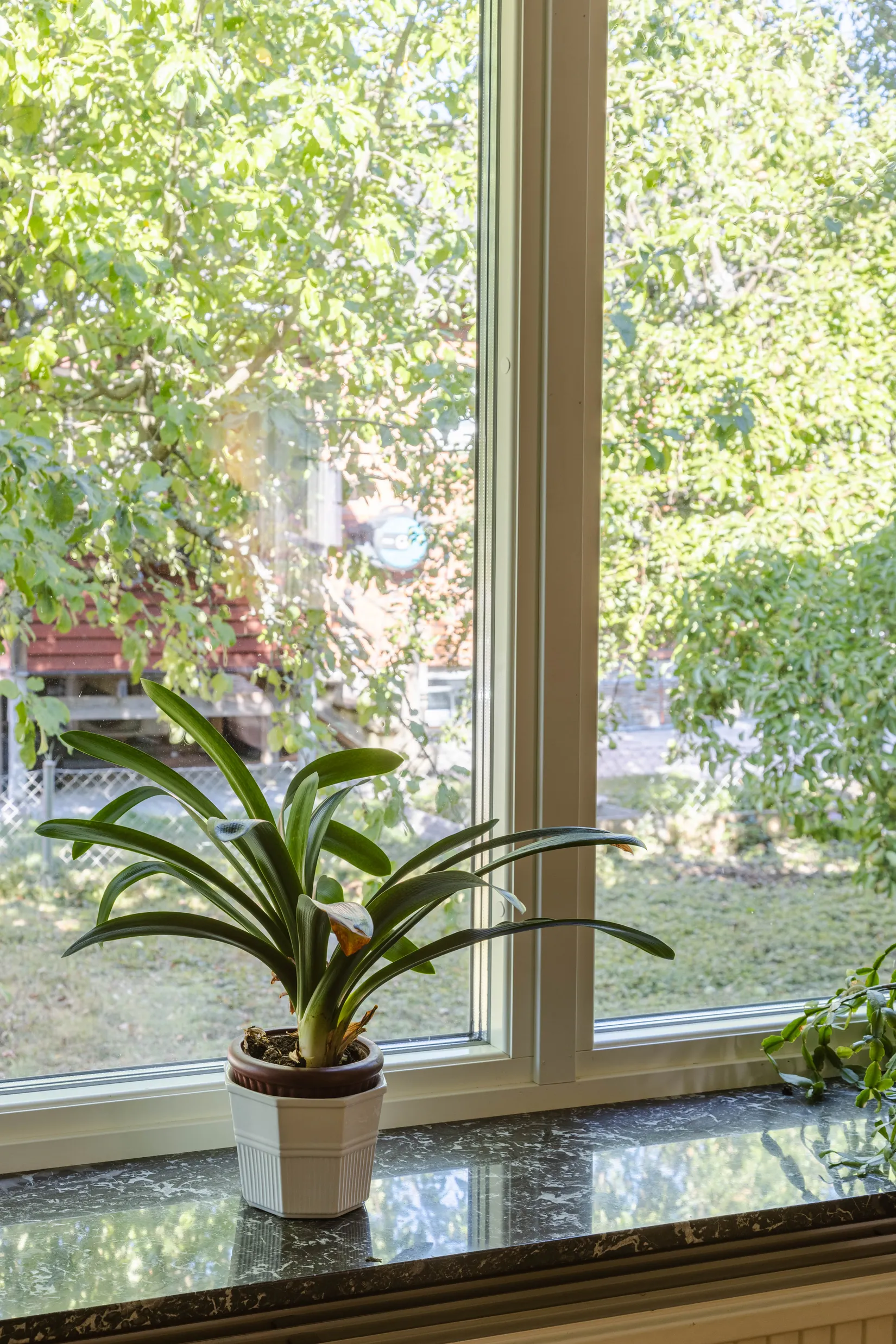 Villa, Magistervägen 3, Hallstahammar