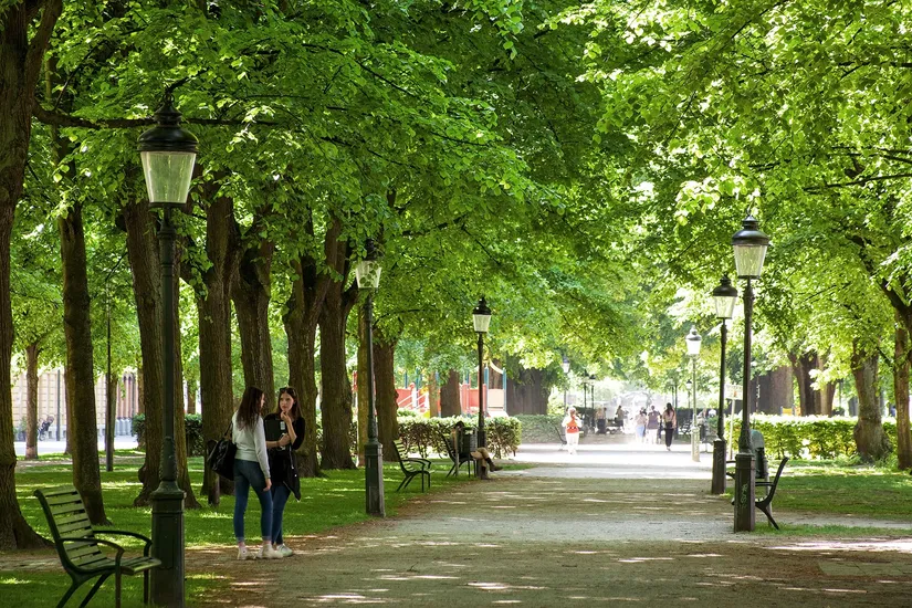Bostadsrätt, Föreningsgatan 73B, Rörsjöstaden, Malmö