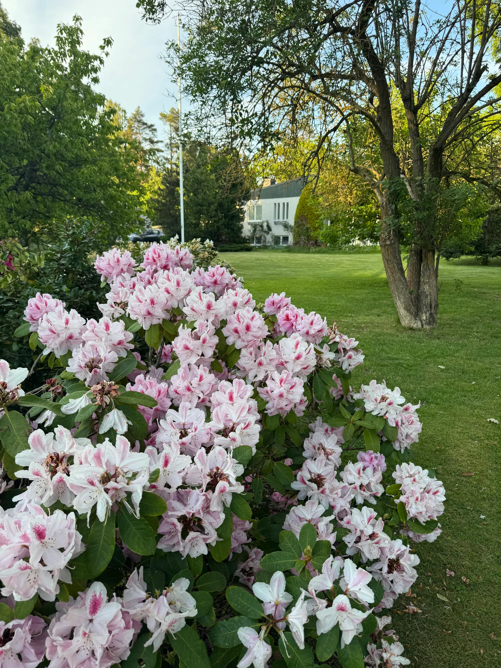 Villa, Ängshagsvägen 3, Ljungnäs, Mönsterås