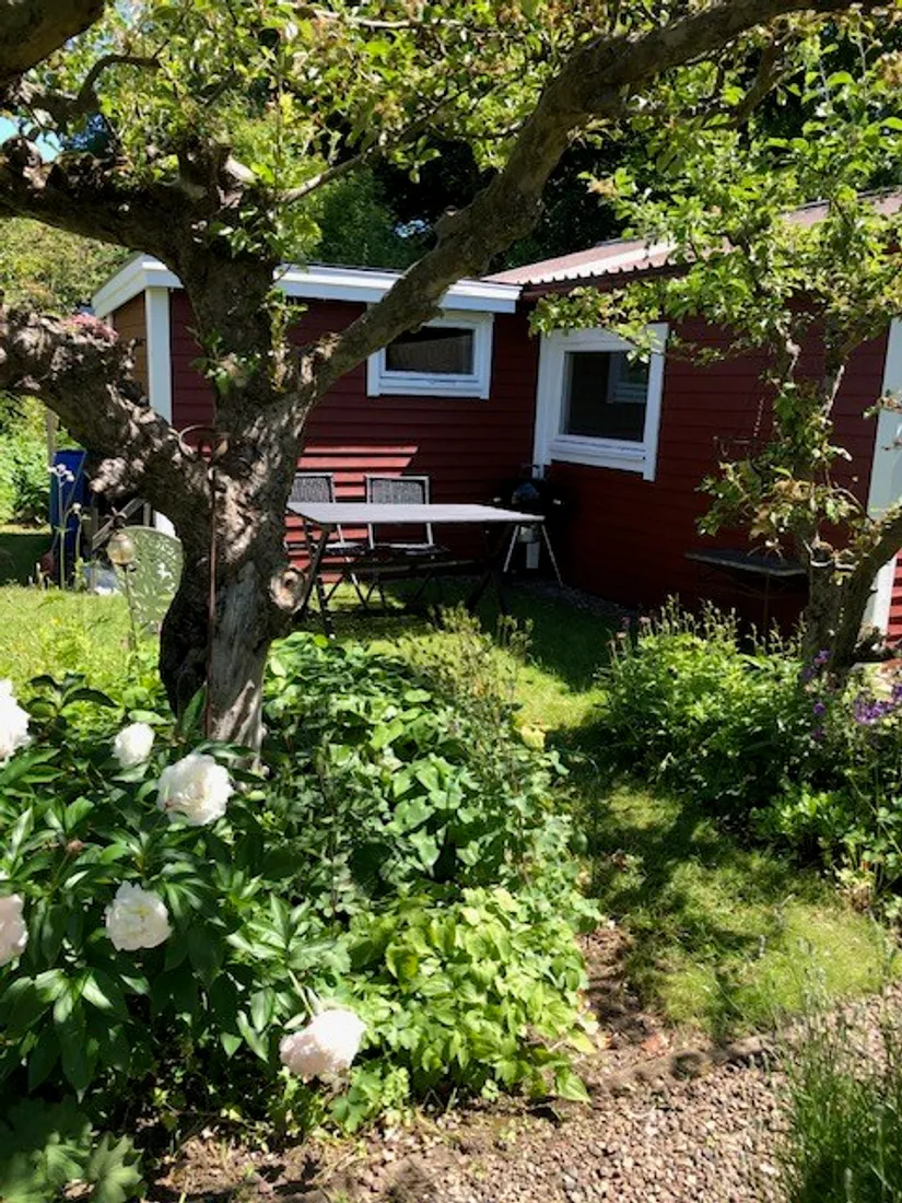 Övrigt, Stuga 58 Fredriksdals Västra koloniförening, Fredriksdal Västra, Helsingborg