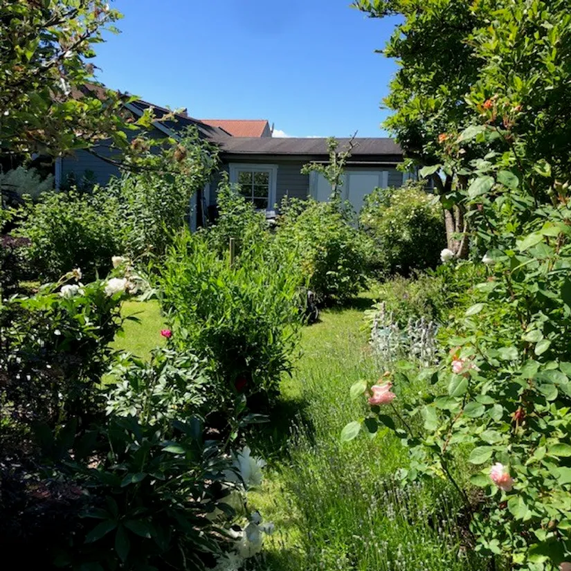 Övrigt, Stuga 58 Fredriksdals Västra koloniförening, Fredriksdal Västra, Helsingborg
