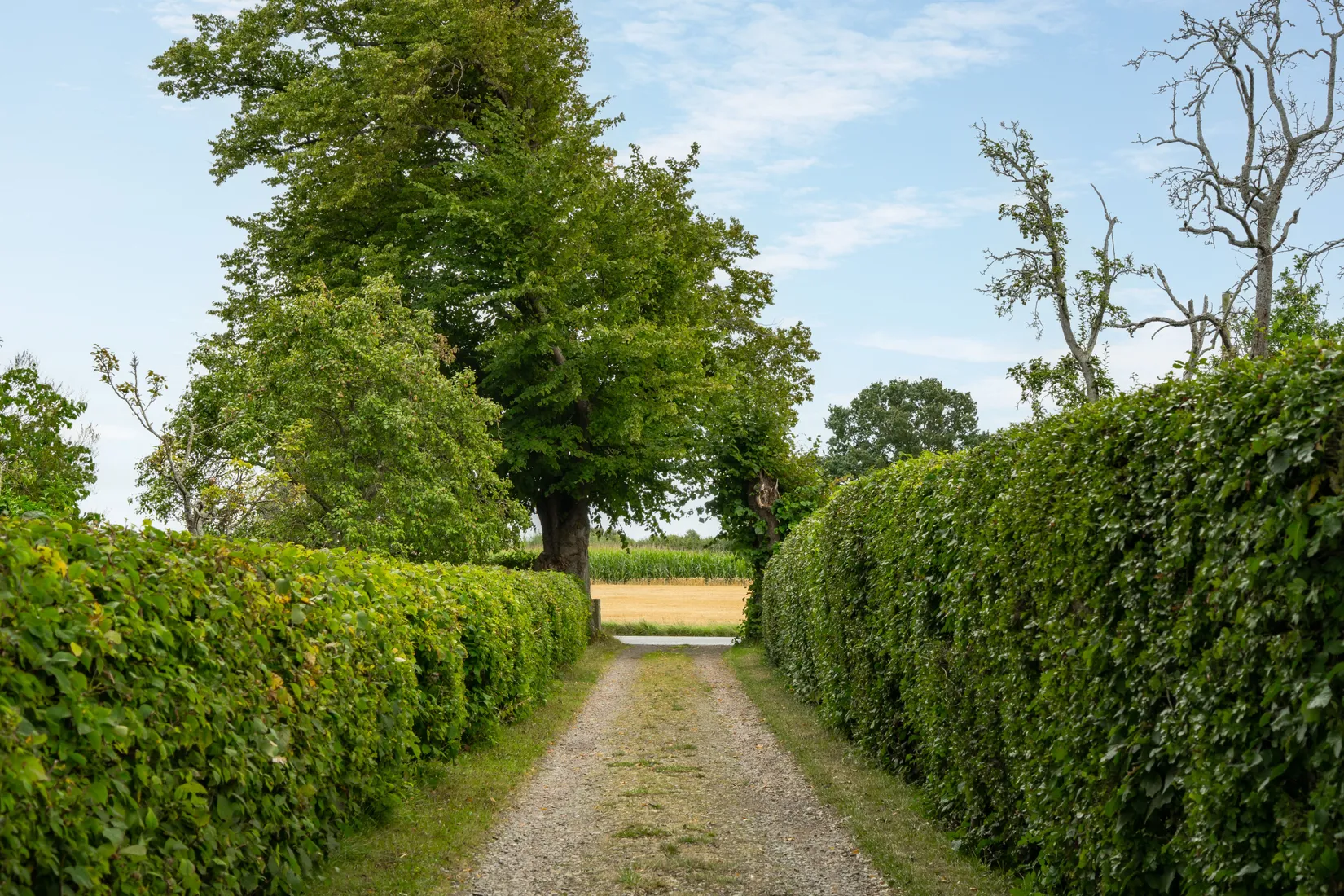 Villa, Landsvägen 136, Landskrona