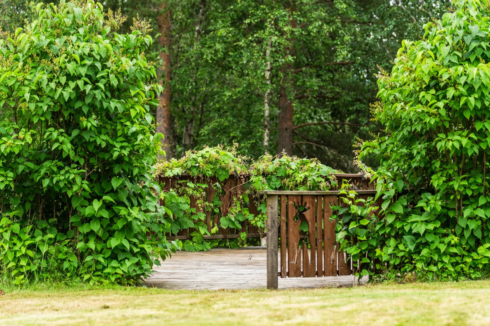 Villa, Mjäla 203, Rödön, Krokom