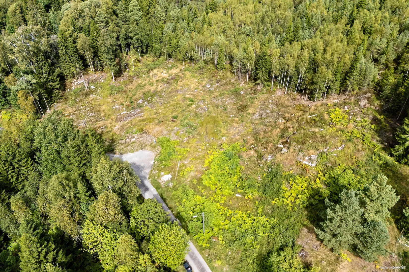 Tomt, Rogslundsvägen 41, Borås