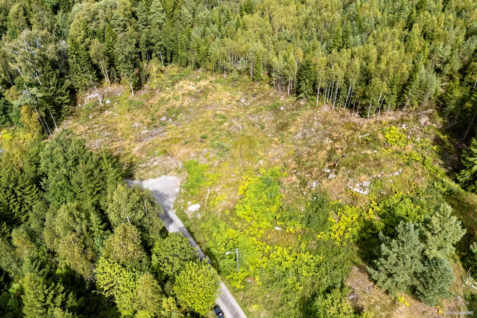 Tomt, Rogslundsvägen 39, Borås