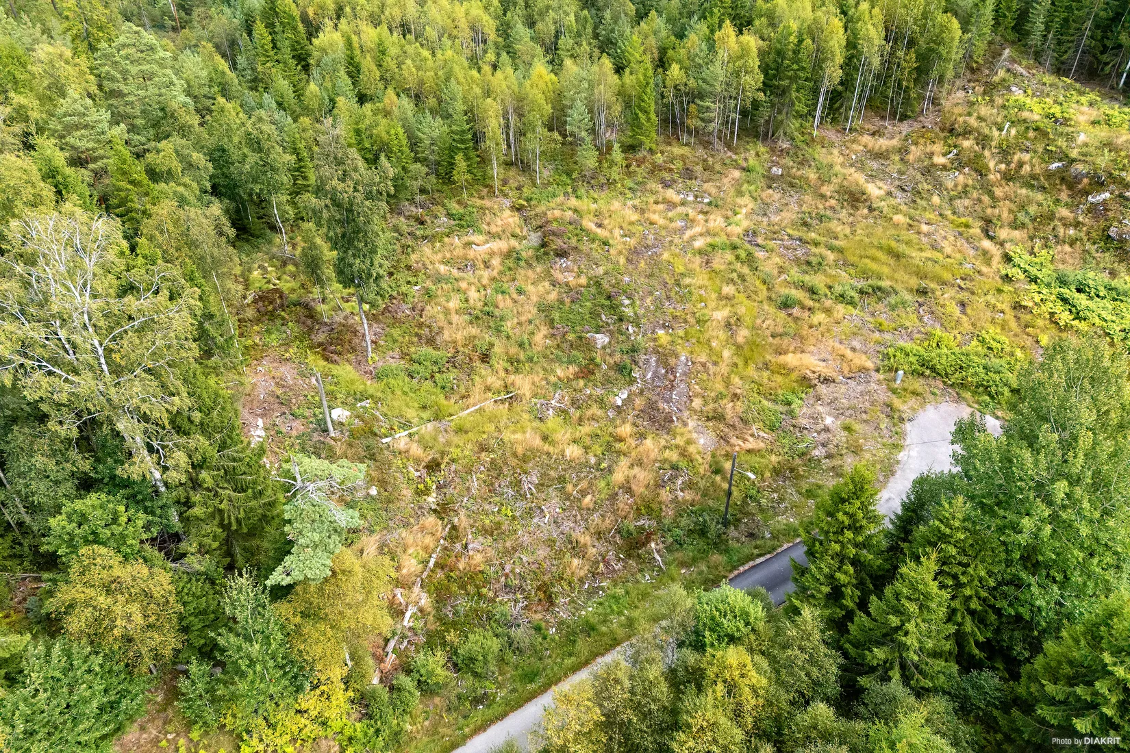 Tomt, Rogslundsvägen 39, Borås