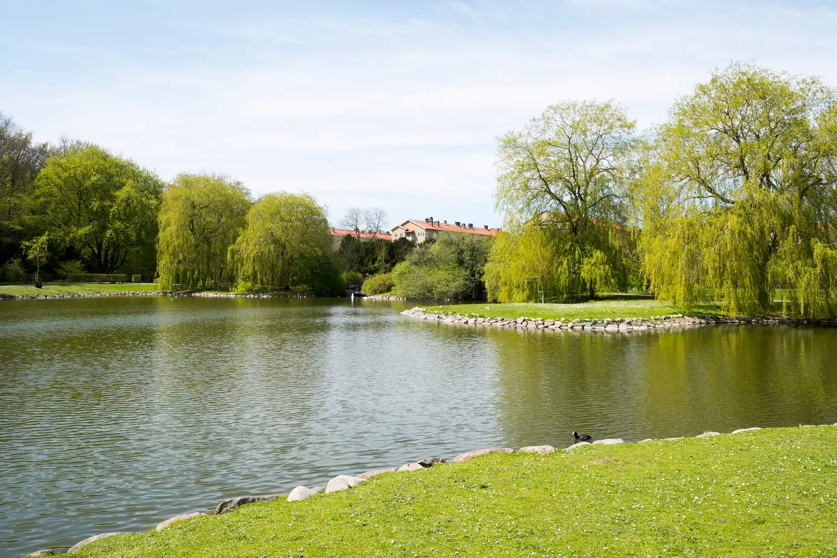 Bostadsrätt, Kronborgsvägen 18B, Pildammarna, Malmö