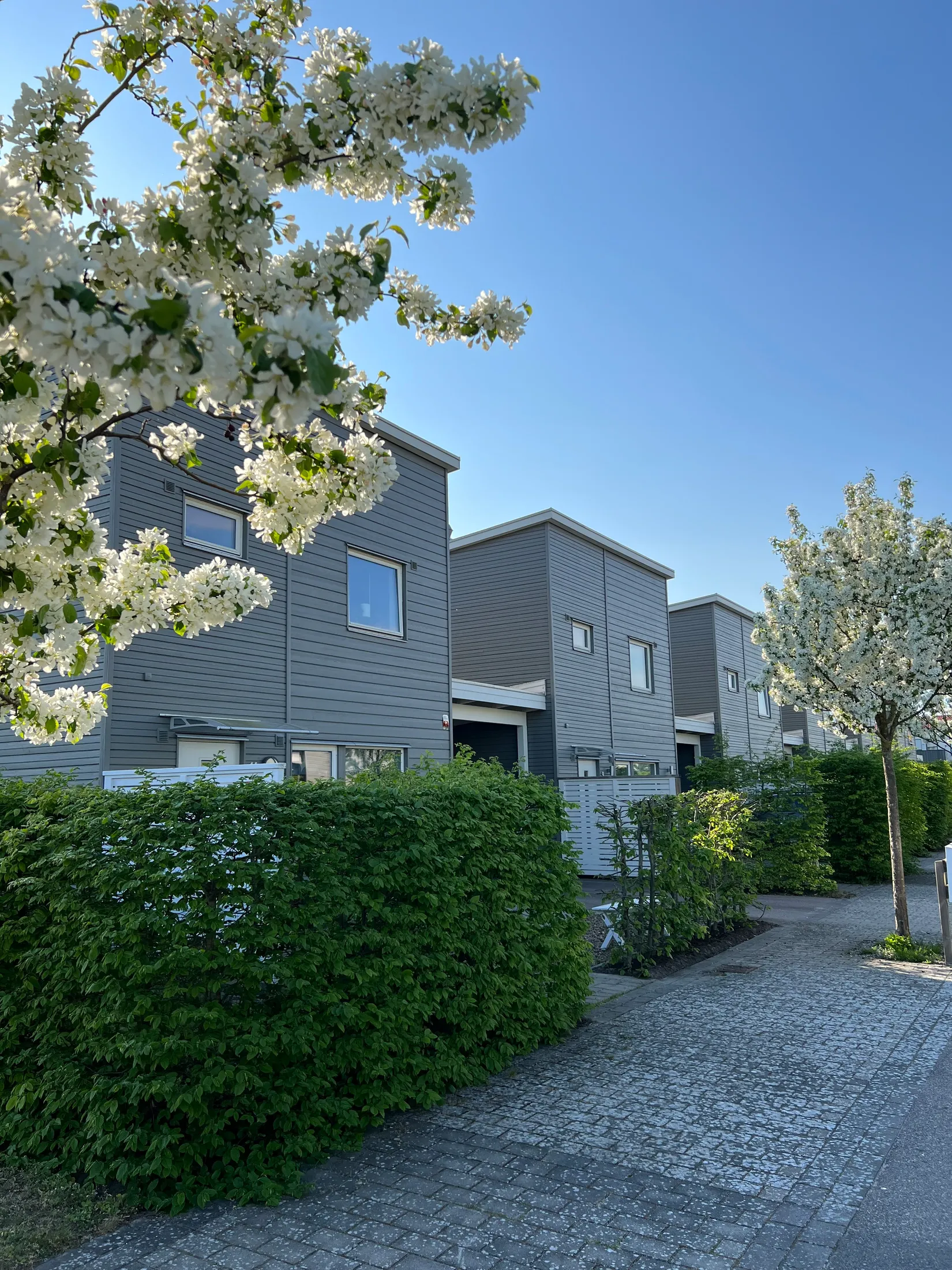 Radhus, Avenbokstigen 11, Kristineslätt, Falkenberg