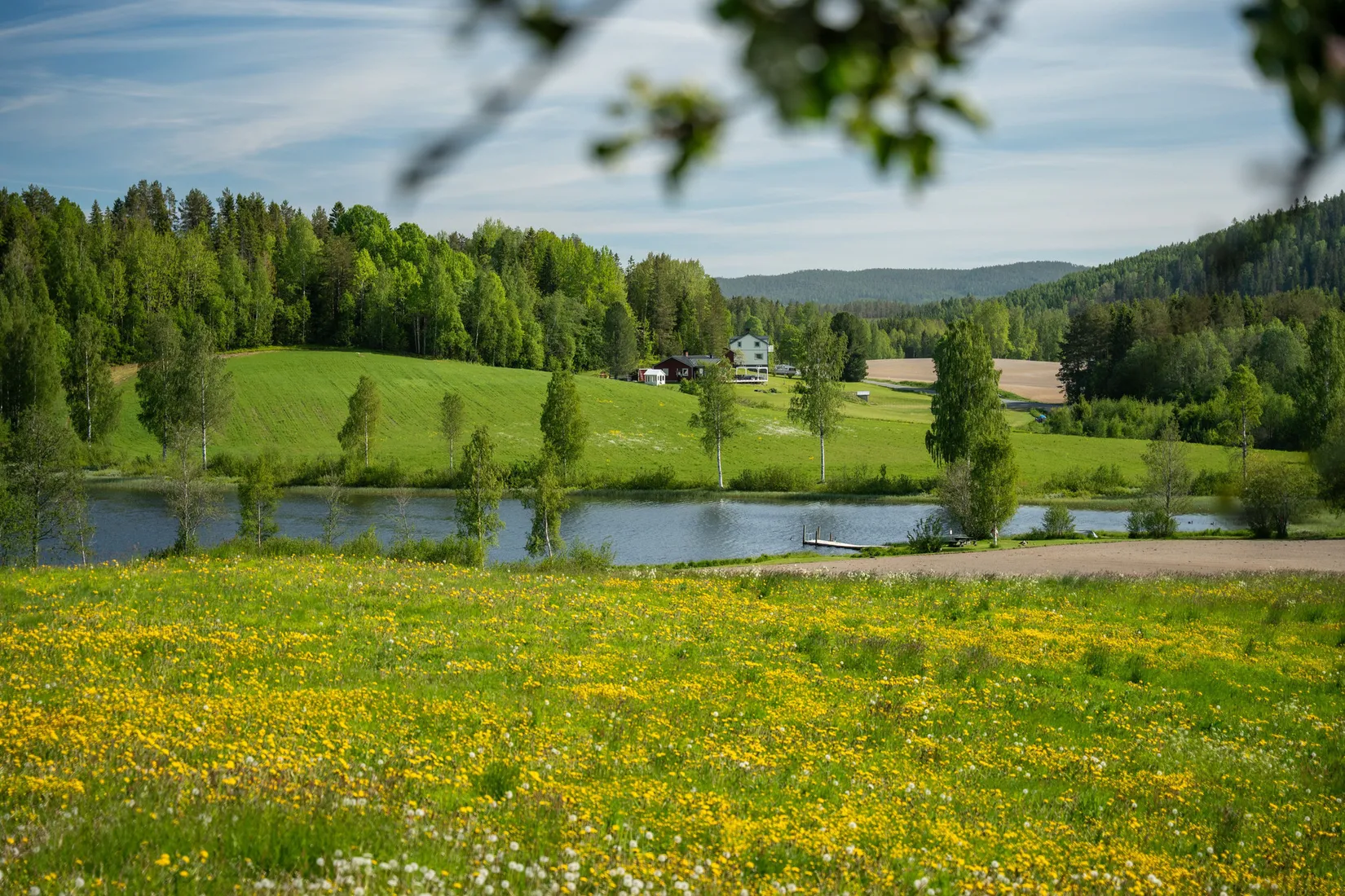 Gård/Skog, Jude 435, Ramvik, Härnösand