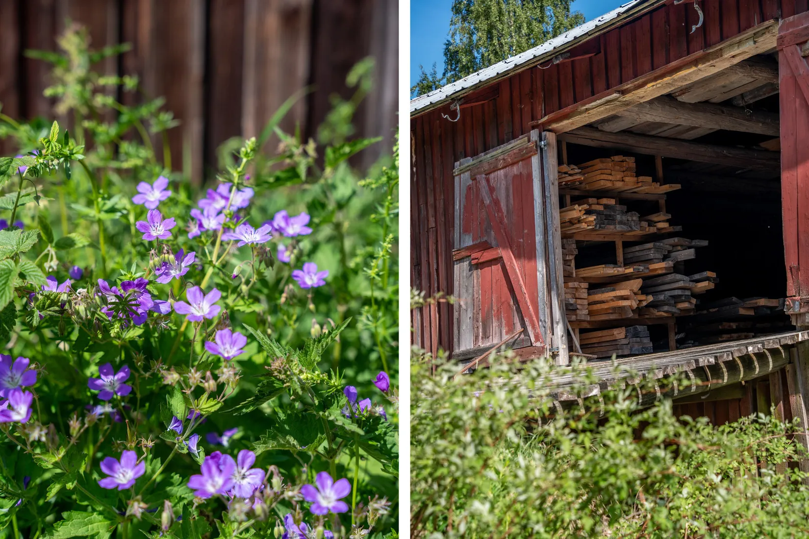 Gård/Skog, Jude 435, Ramvik, Härnösand