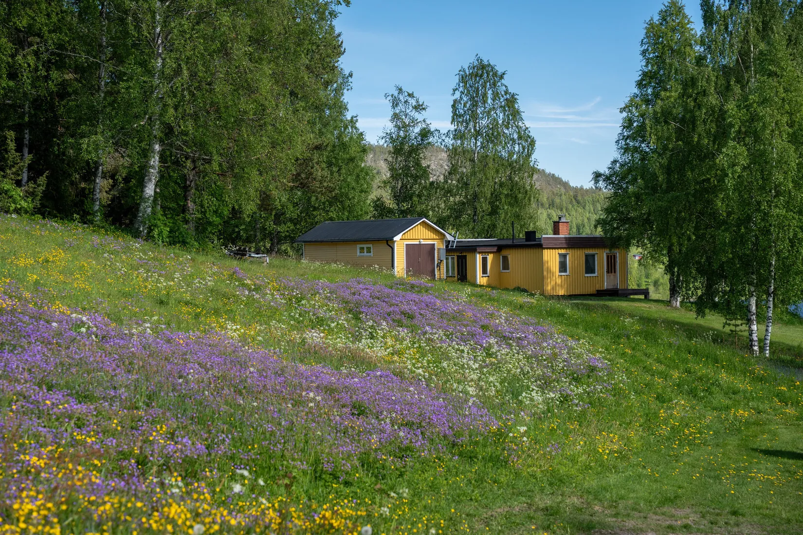Gård/Skog, Jude 435, Ramvik, Härnösand