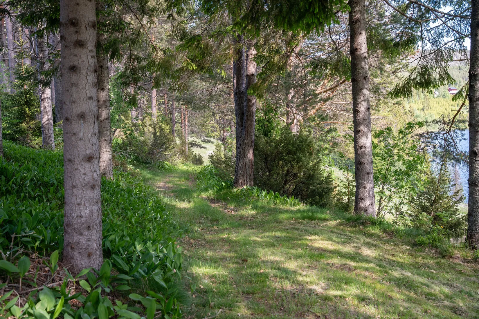 Gård/Skog, Jude 435, Ramvik, Härnösand