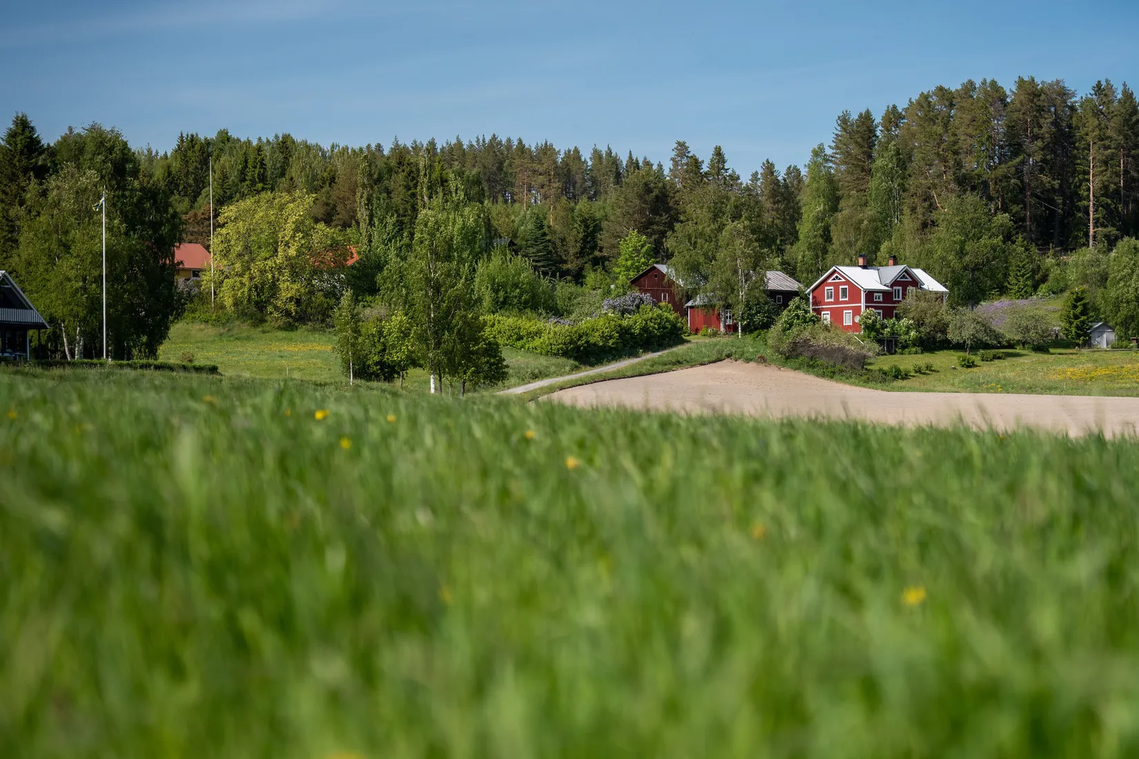 Gård/Skog, Jude 435, Ramvik, Härnösand