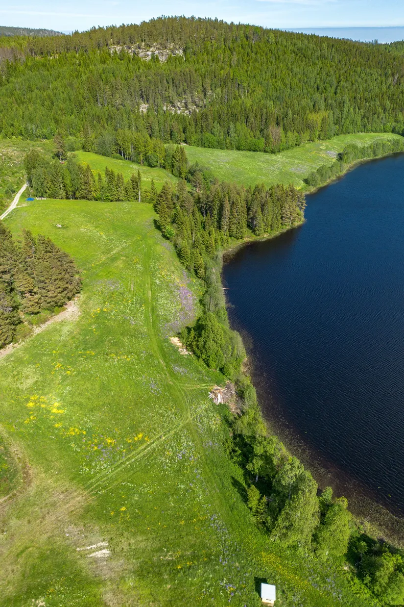 Gård/Skog, Jude 435, Ramvik, Härnösand
