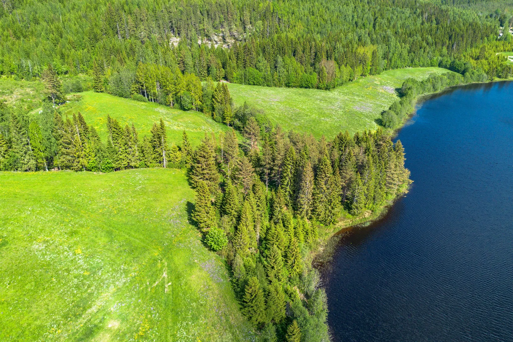 Gård/Skog, Jude 435, Ramvik, Härnösand