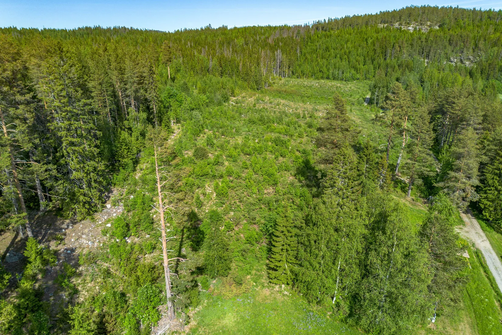Gård/Skog, Jude 435, Ramvik, Härnösand