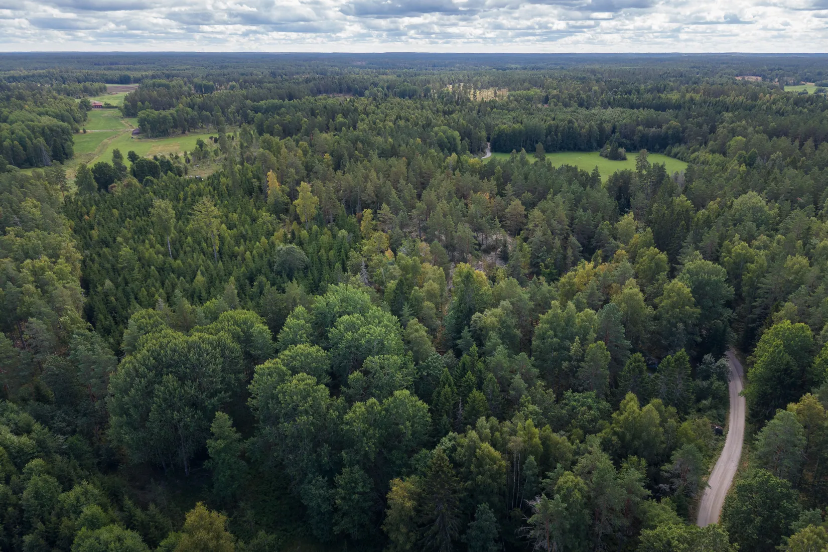 Tomt, Grävsätter 1:5, Härad, Strängnäs