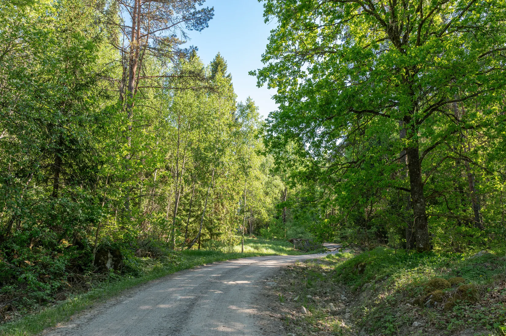 Tomt, Grävsätter 1:5, Härad, Strängnäs