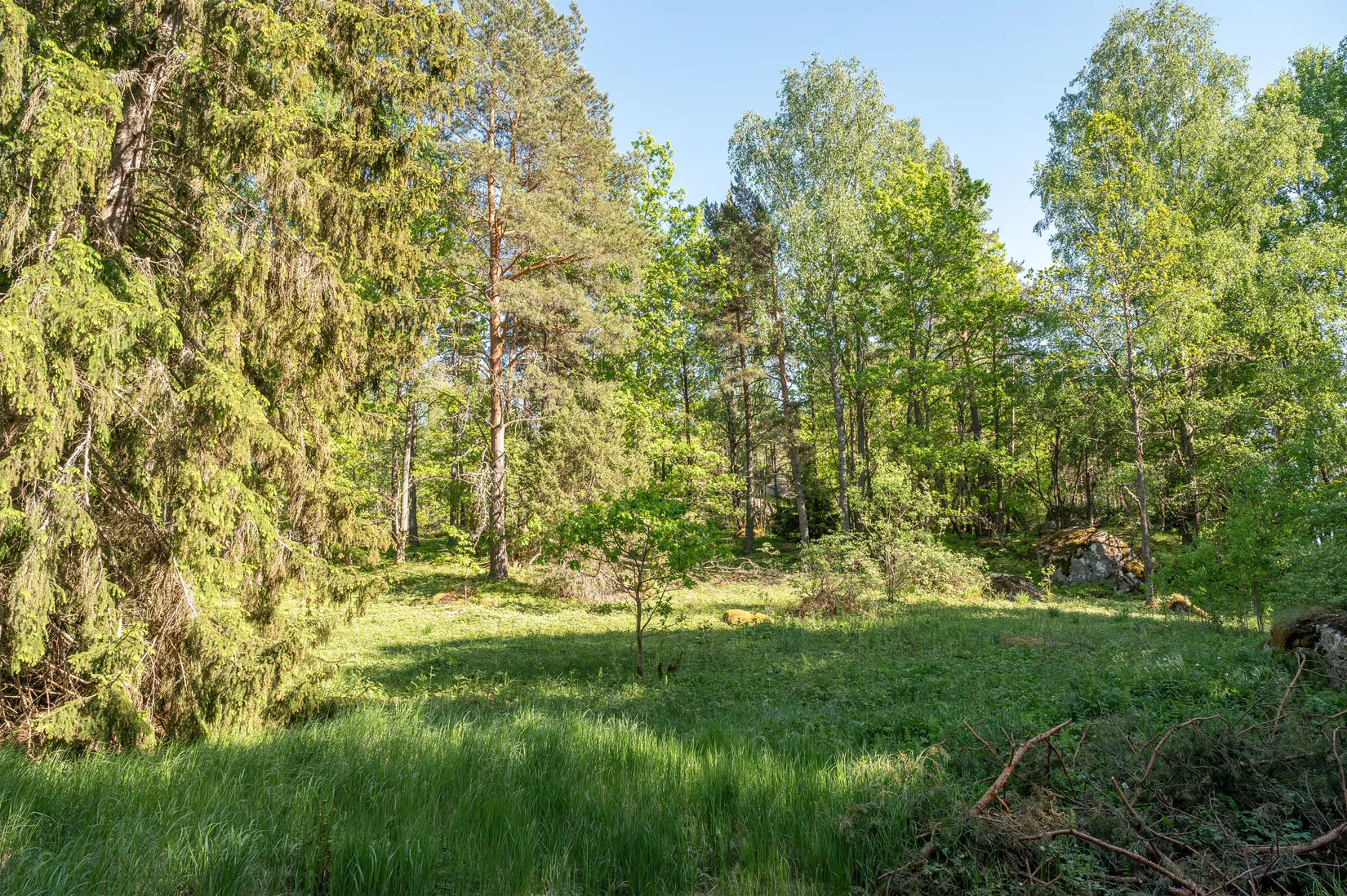 Tomt, Grävsätter 1:5, Härad, Strängnäs