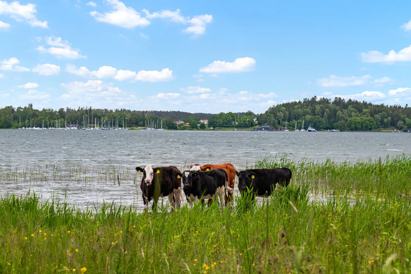 Bostadsrätt, Maria Winkvists Väg 10a, Solbacka Strand, Norrtälje