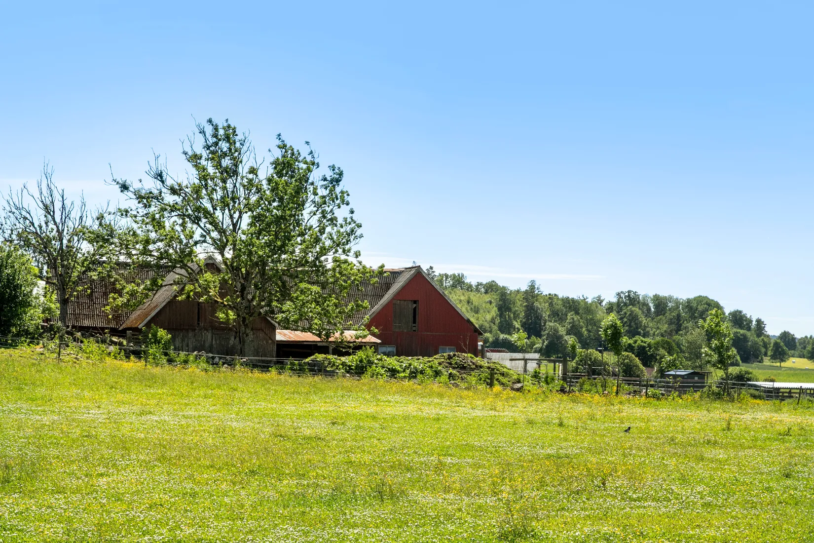Gård/Skog, Kulla 4, 5 och 6, Veddige, Varberg