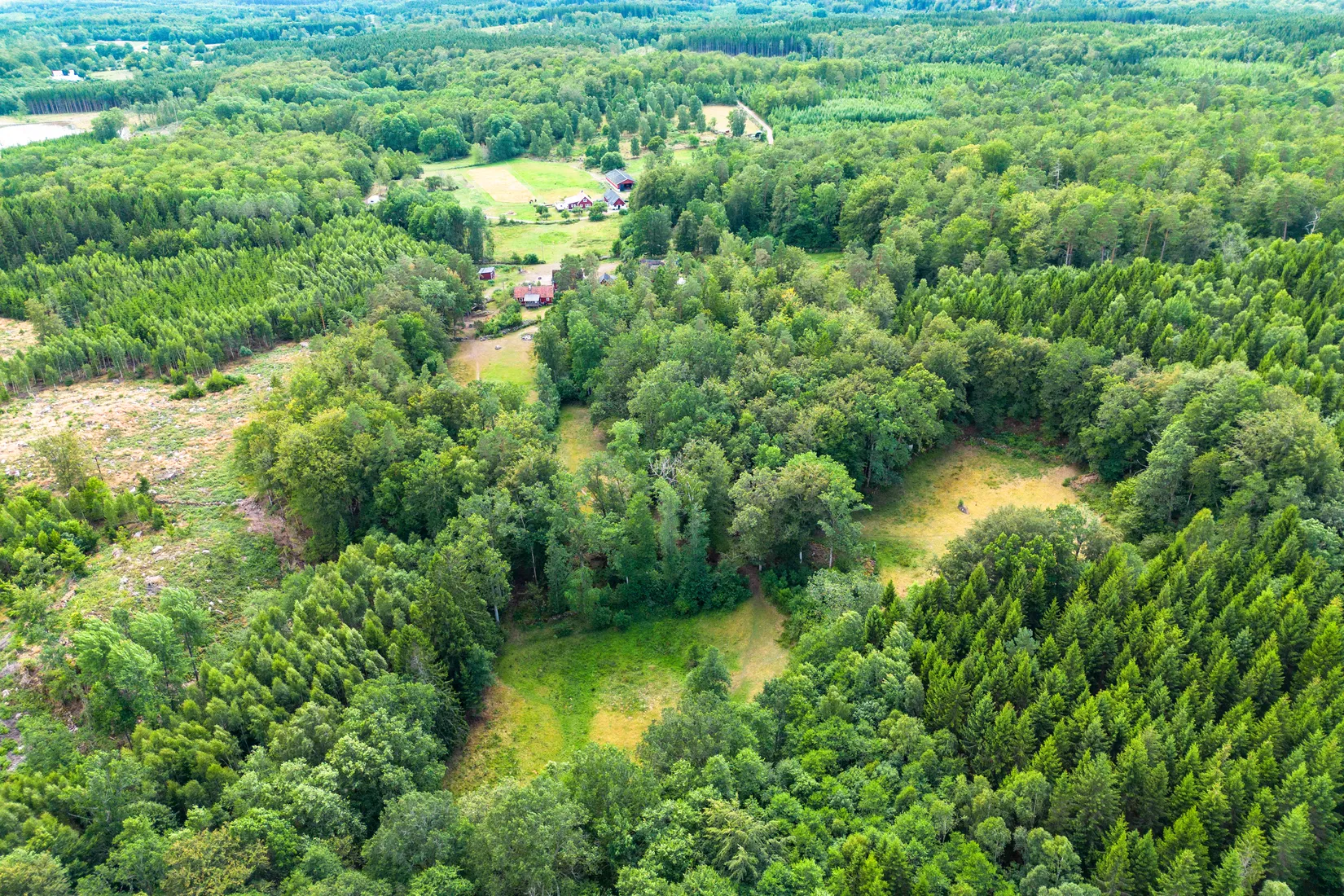 Gård/Skog, Röetvedsvägen 343, Kristianstad