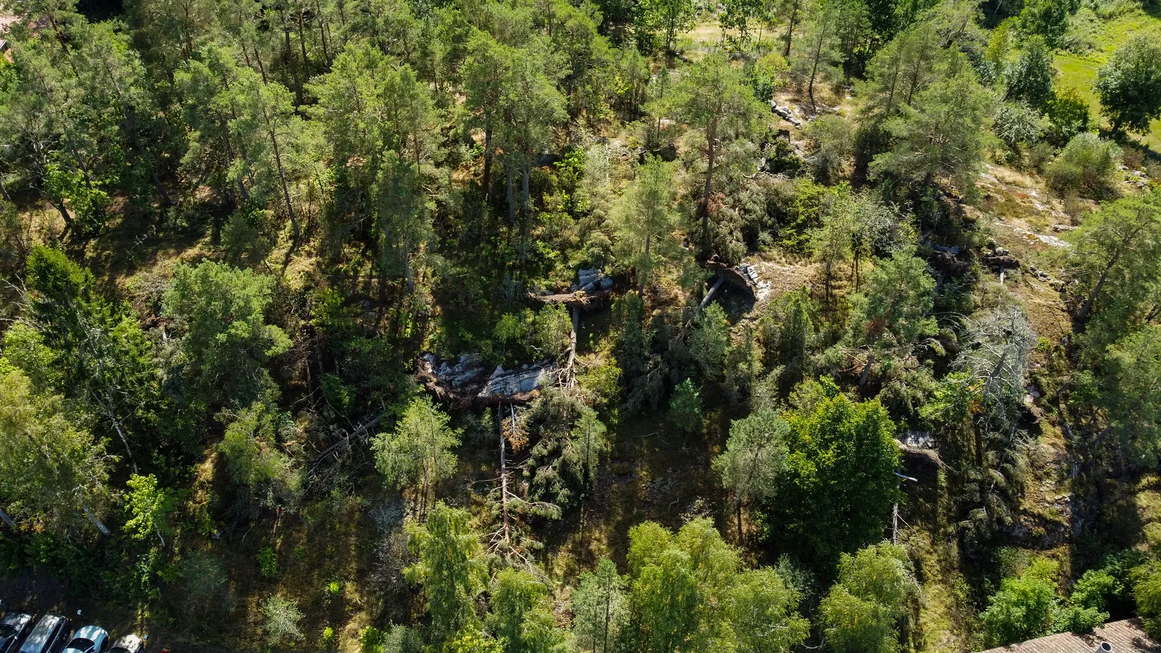 Gård/Skog, Fåglum Godegården 660, Fåglum, Essunga