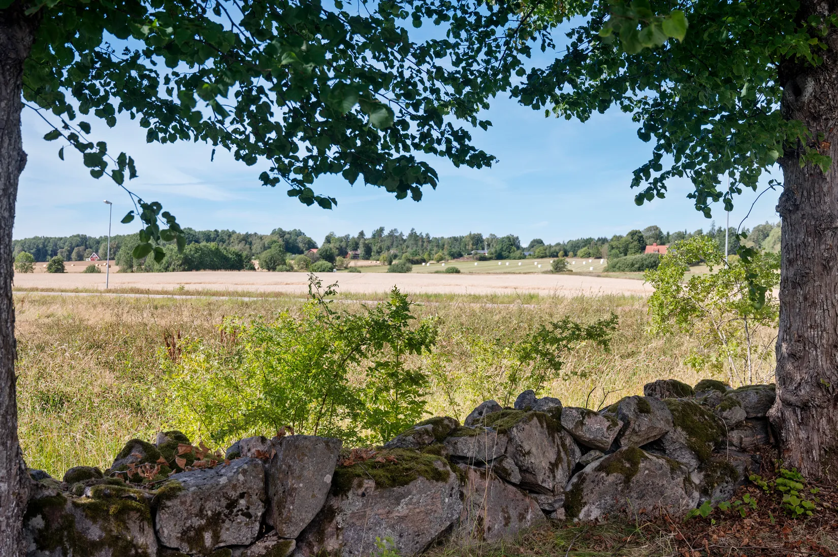 Gård/Skog, Fåglum Godegården 660, Fåglum, Essunga