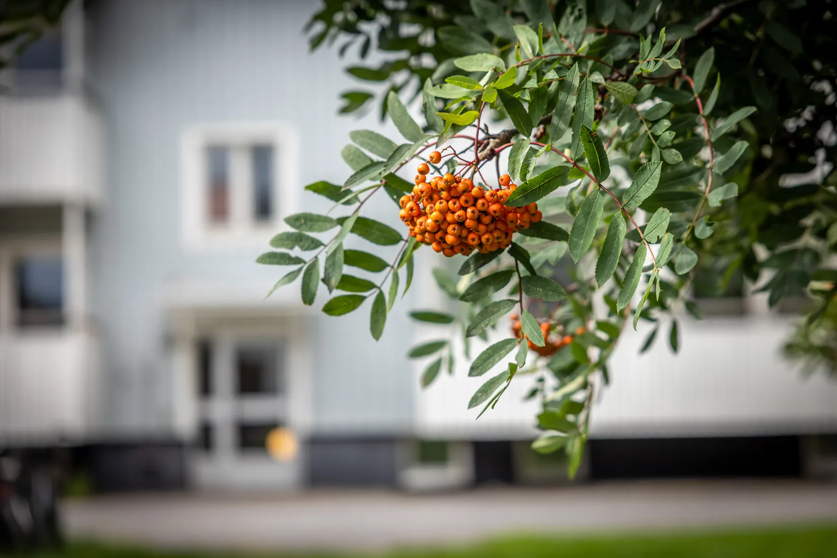 Bostadsrätt, Vintergatan 12A, Vännäs