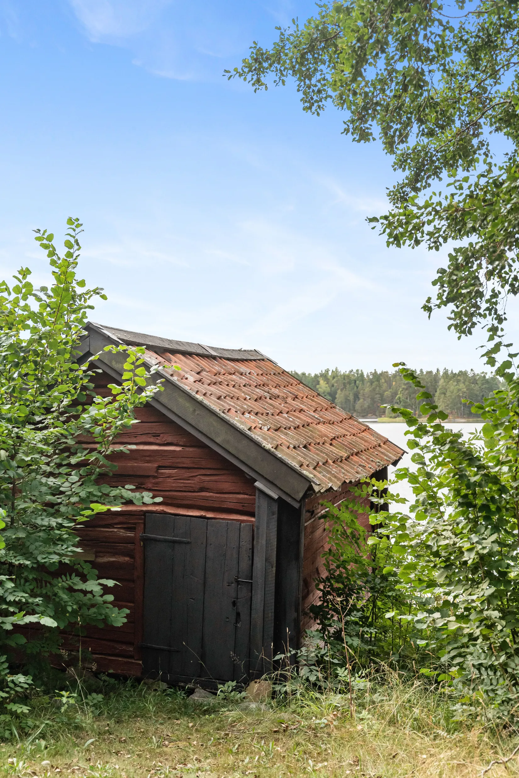 Gård/Skog, Gubboda 1:17, Gubboda, Norrtälje