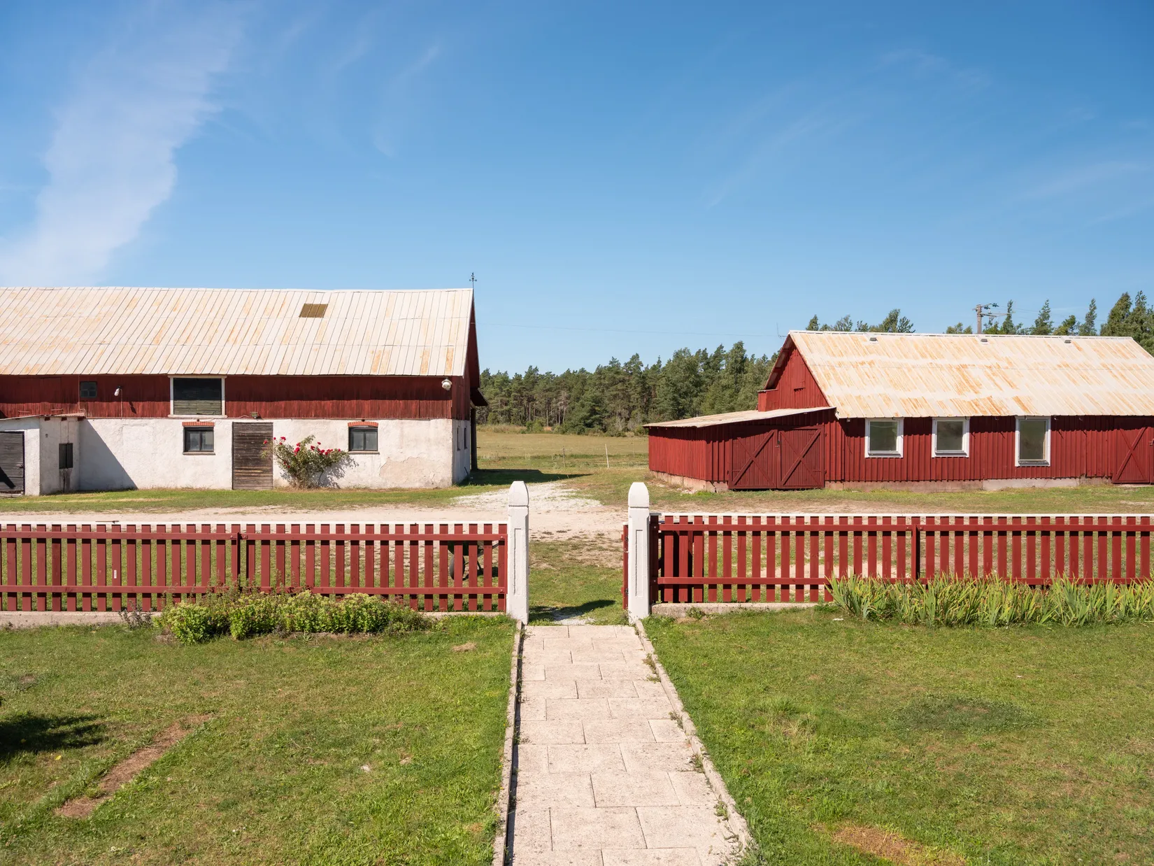Gård/Skog, Guldrupe Krasse 229, Gotland