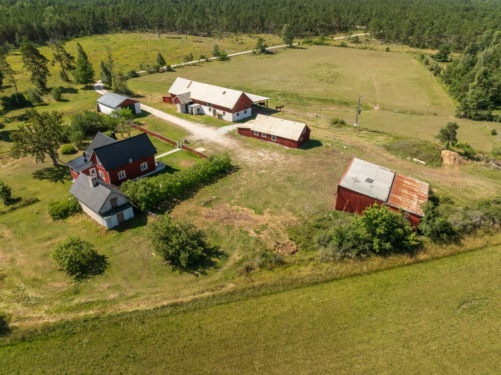 Gård/Skog, Guldrupe Krasse 229, Gotland