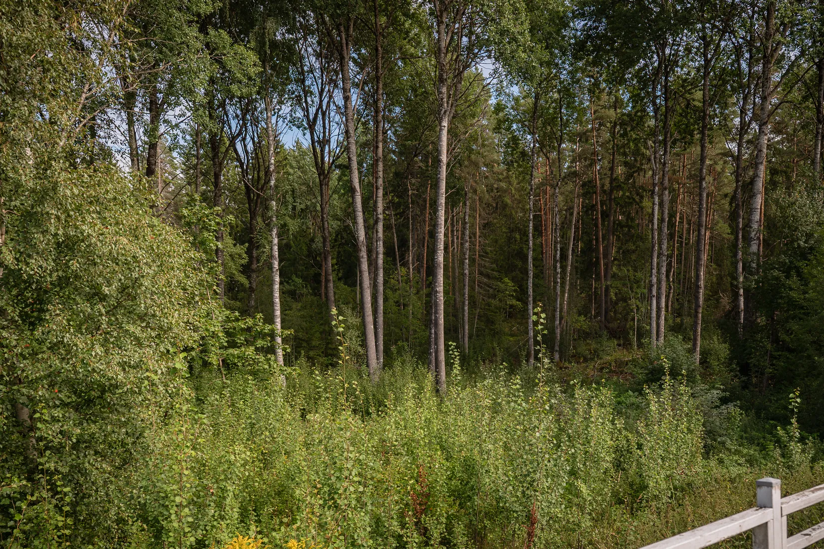 Radhus, Soldattorpet 50, Skåre, Karlstad