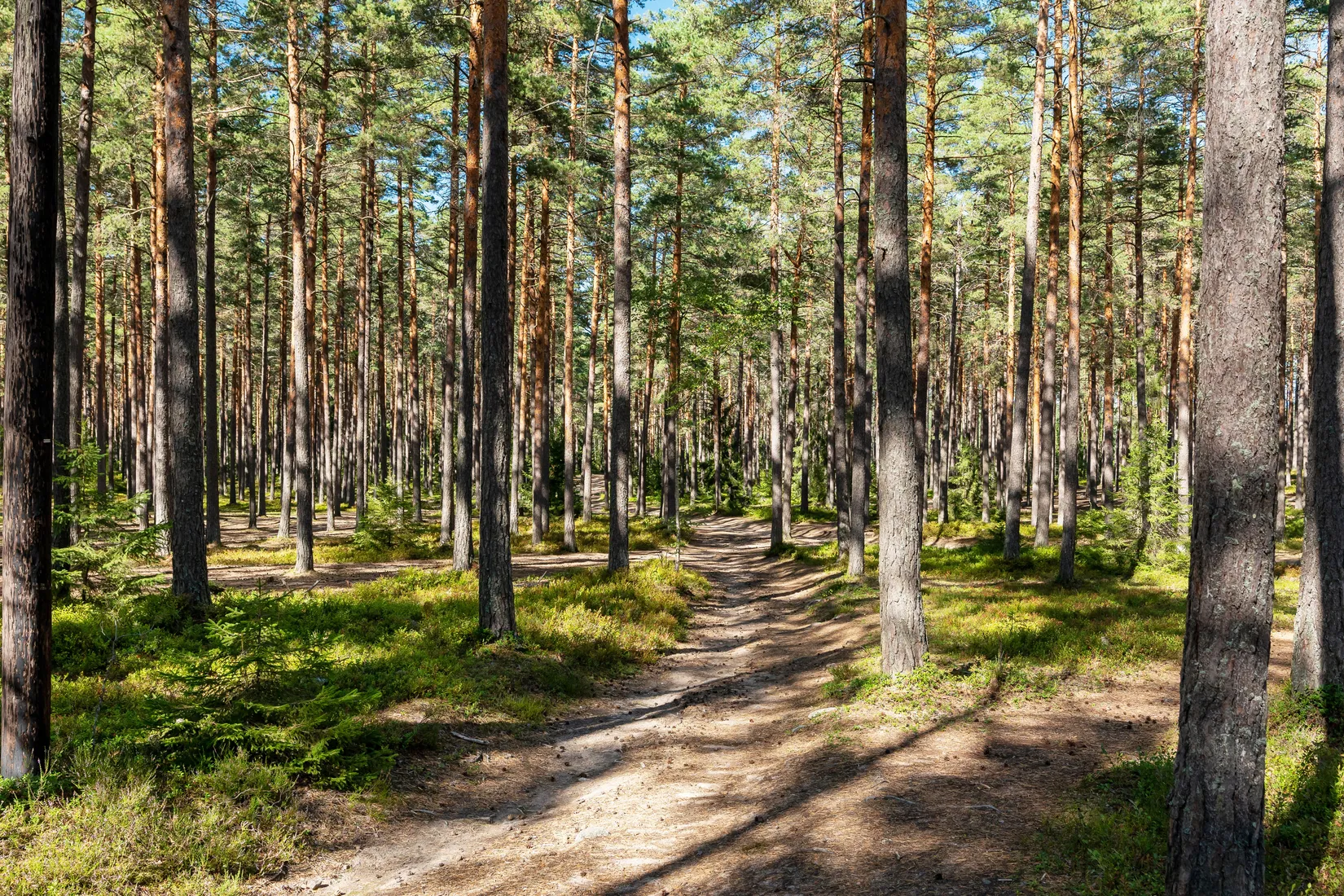 Villa, Hämplingevägen 48, Älta, Nacka