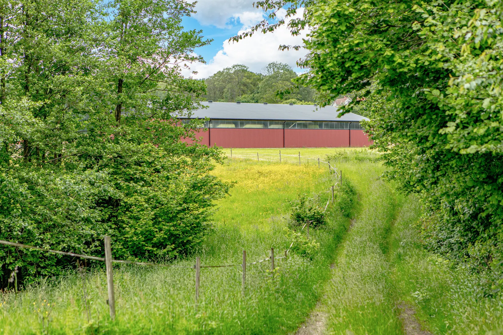Gård/Skog, Gödeby 23, Gödeby, Varberg