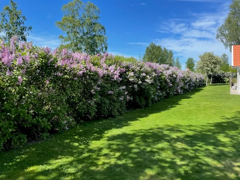 Villa, Gammeltorp Golfbacken 1, Vårdsberg, Linköping
