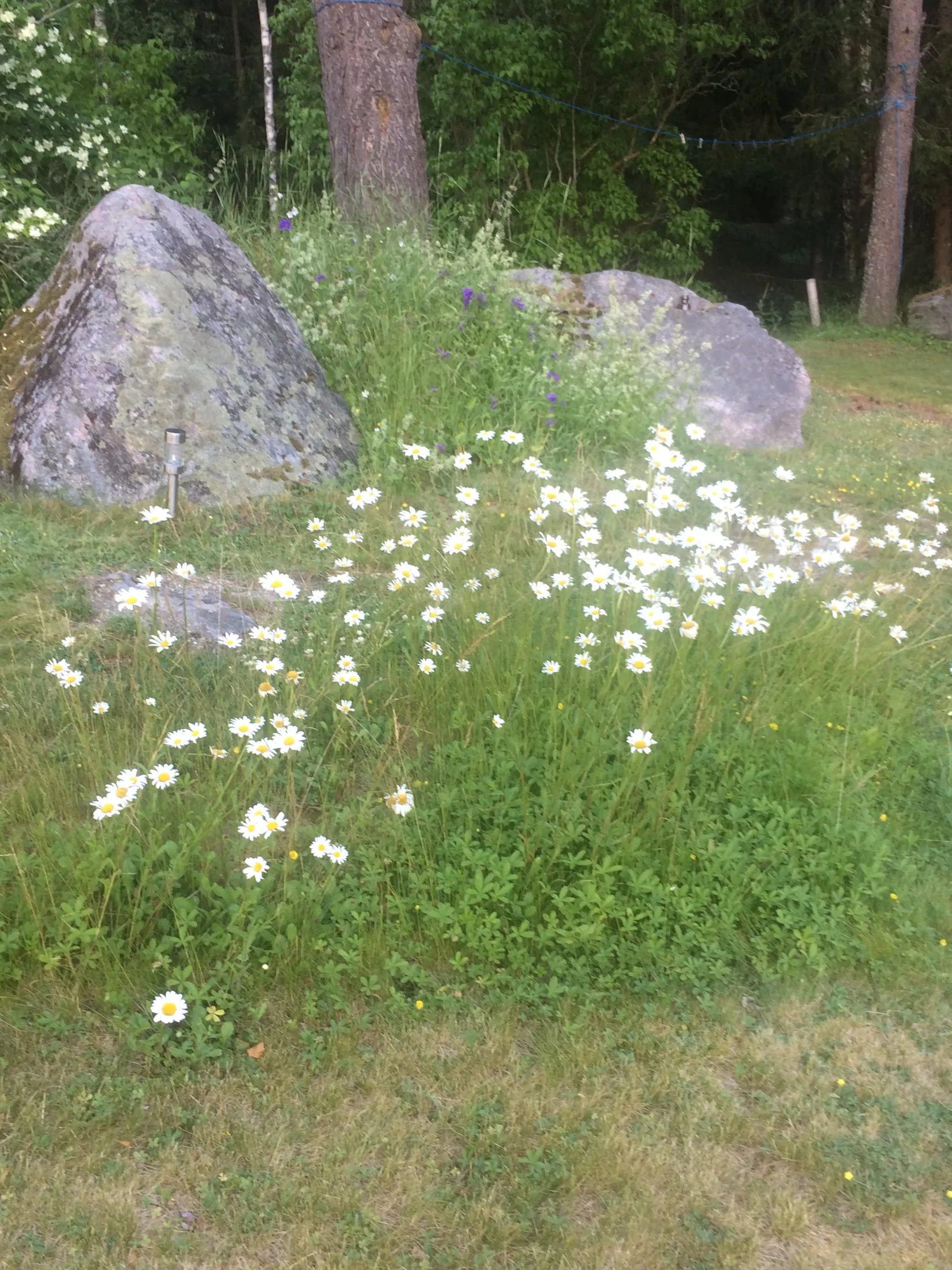 Villa, Mylkärret Nybylund, Nybylund, Ärla, Eskilstuna
