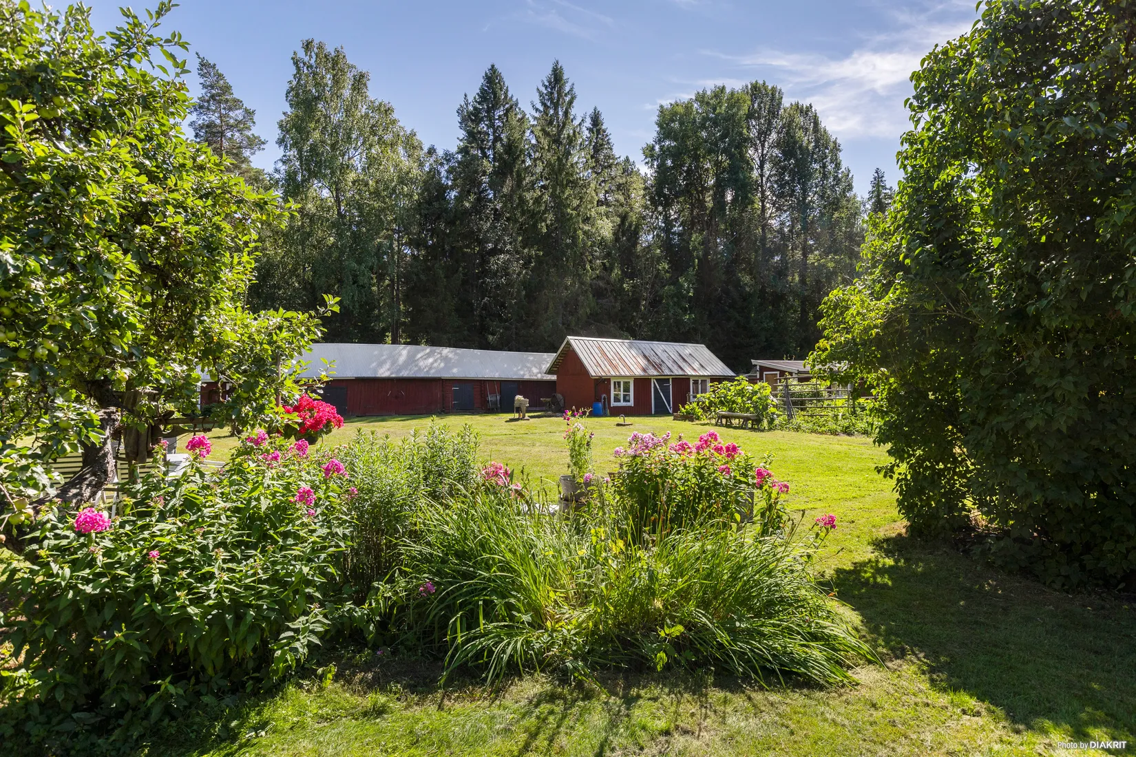Gård/Skog, Hammarby 667, Närkes kil, Örebro