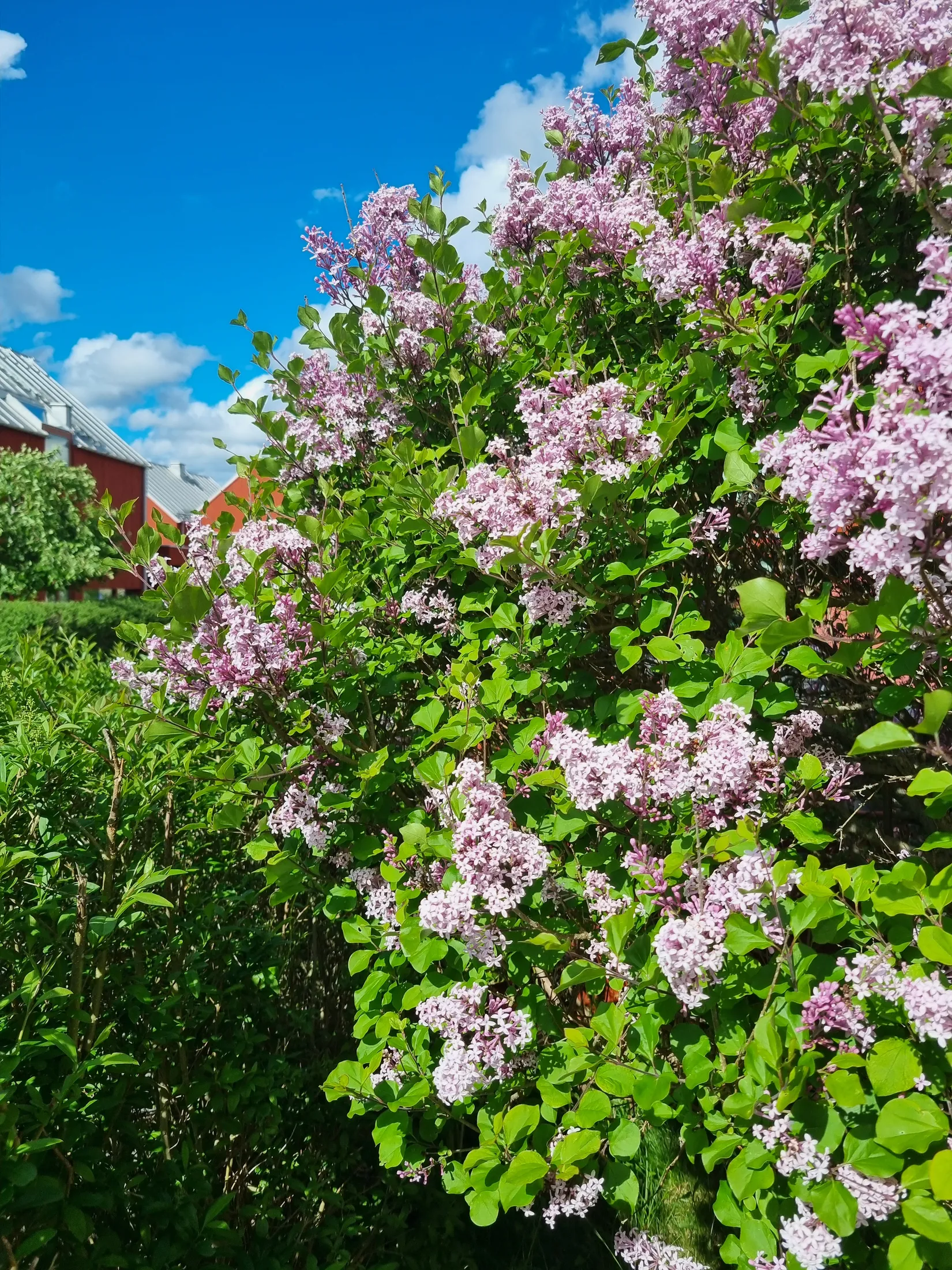 Radhus, Ida Charlottas väg 13, Mölnlycke - Centrum, Härryda