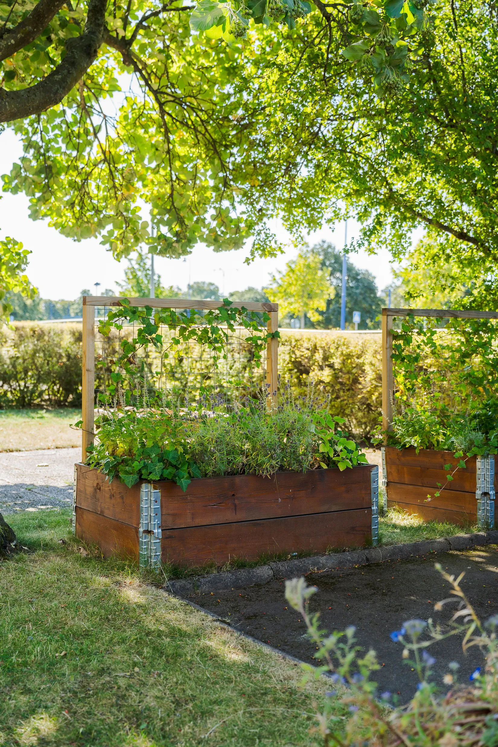 Bostadsrätt, Hagagatan 12A, Haga, Norrköping