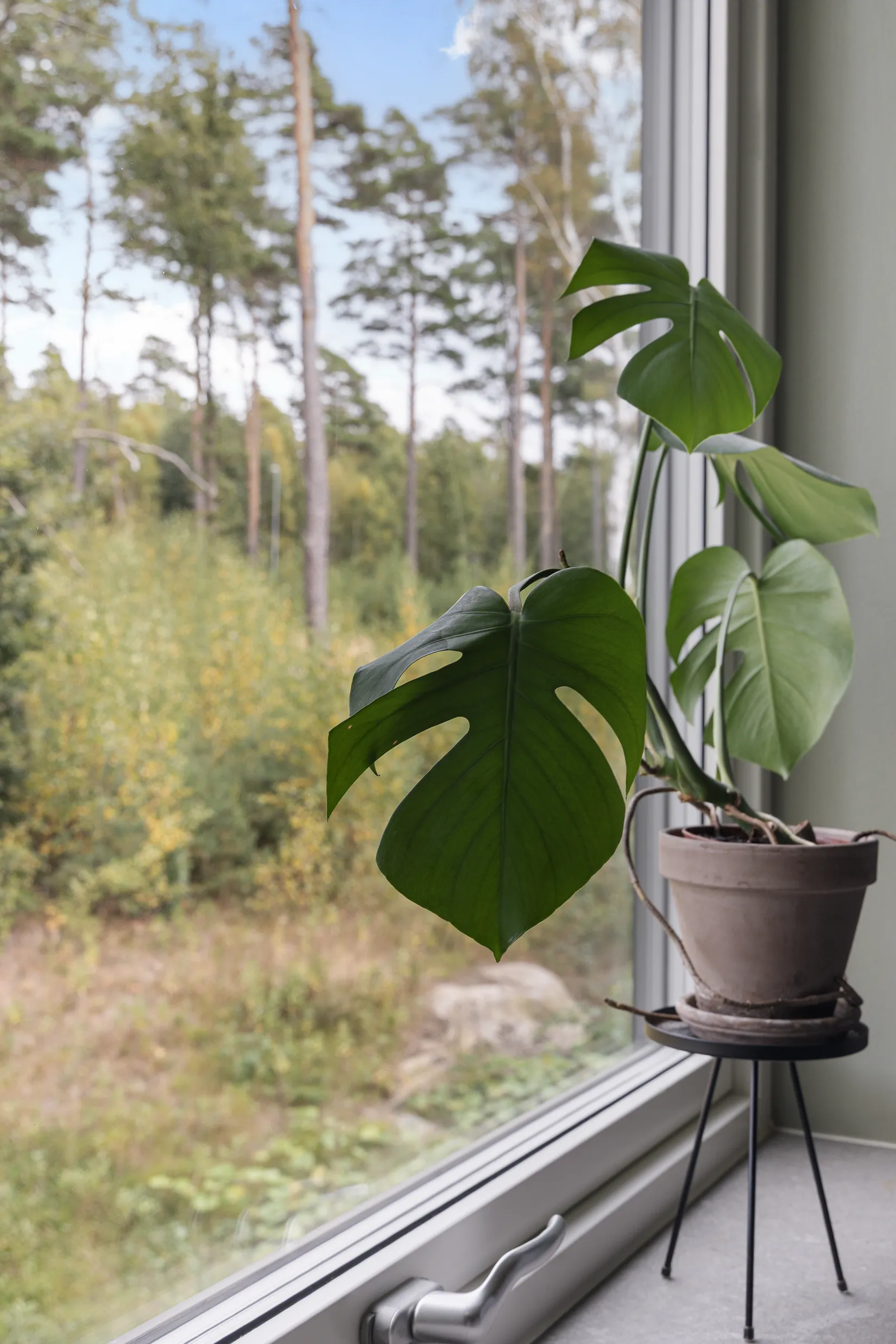 Bostadsrätt, Kärnvedsgatan 61, Hills, Mölndal
