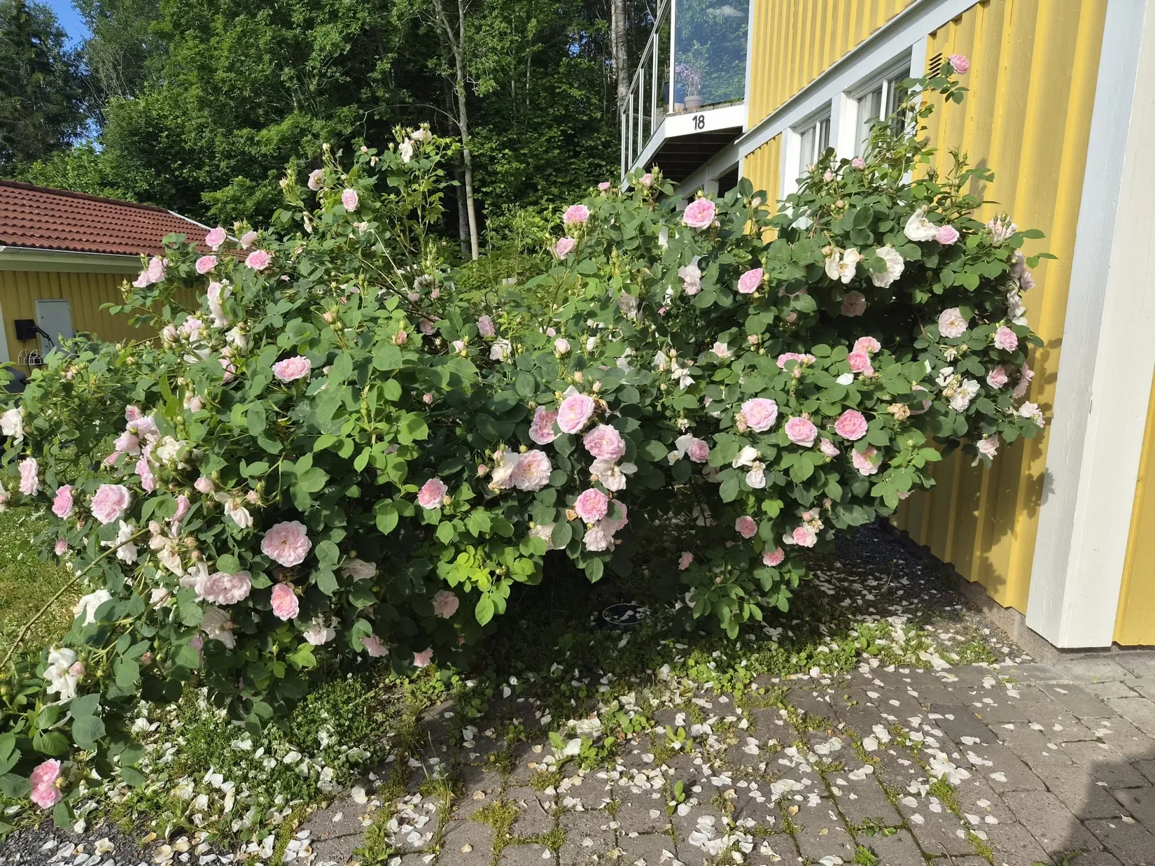 Villa, Fältvägen 18, Cenrala Norrtälje, Norrtälje