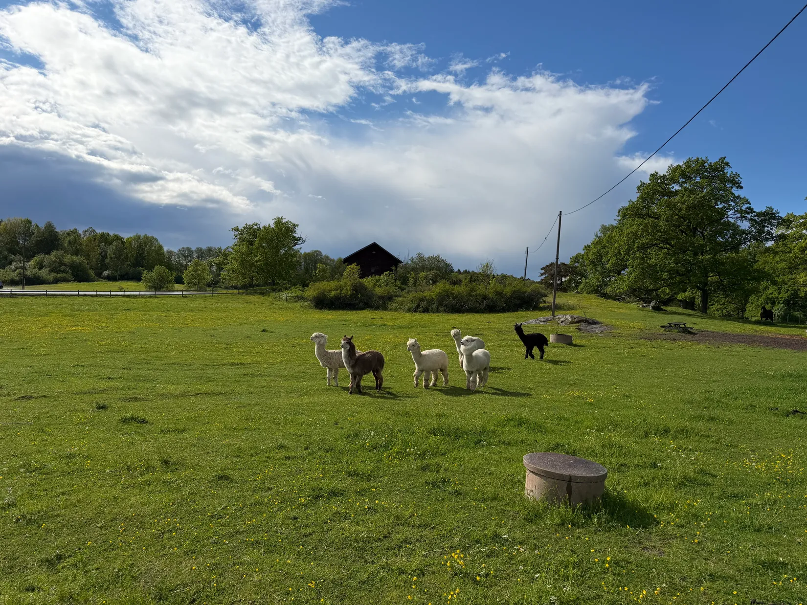 Radhus, Torsbyslingan 23, Torsby, Värmdö